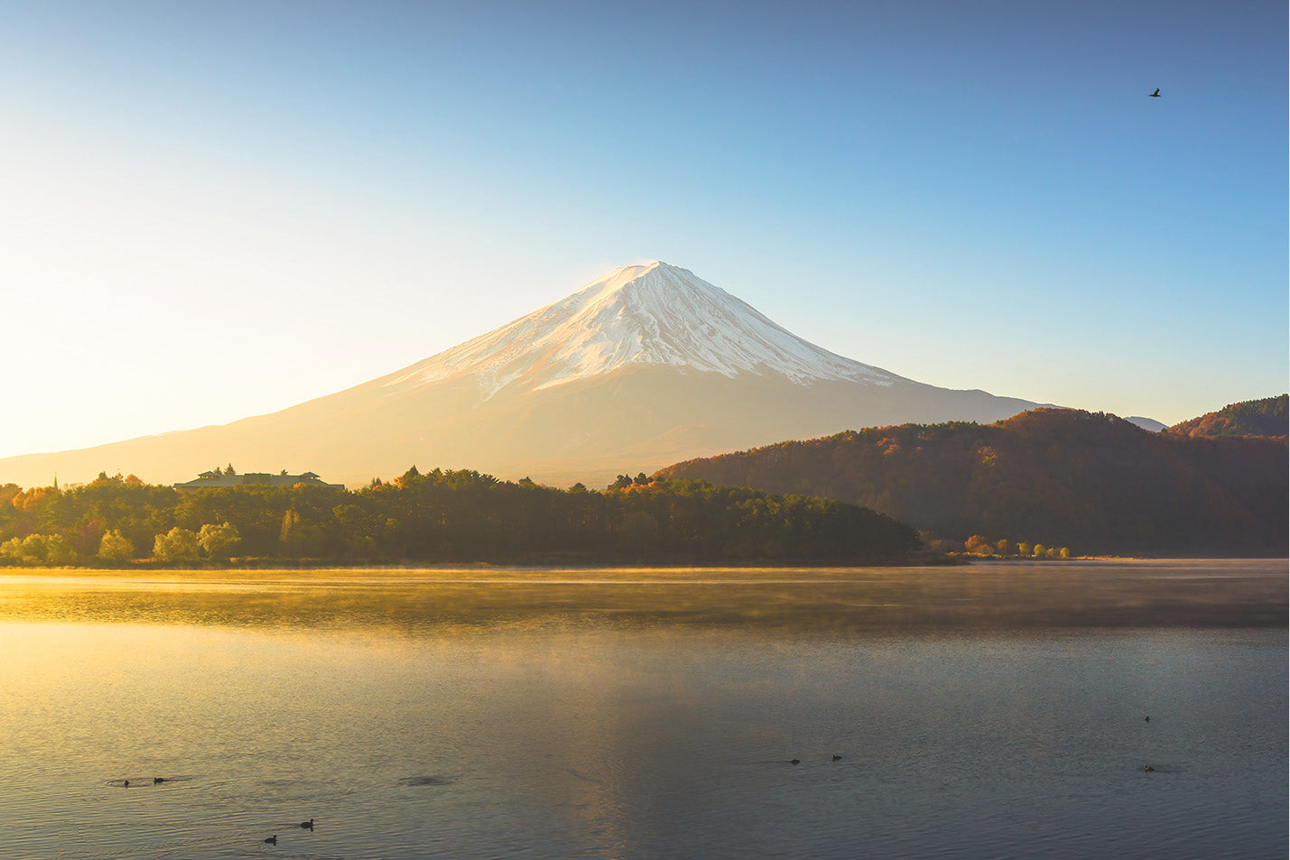 
                  
                    Mount Fuji Spring Morning
                  
                