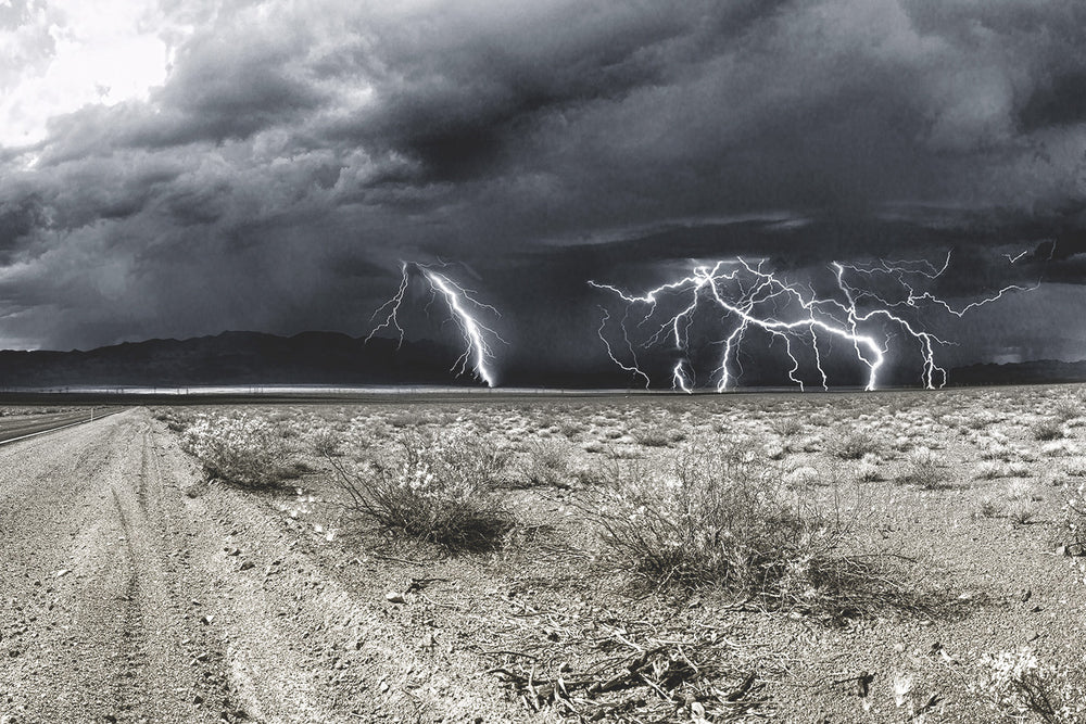 
                  
                    Lightning Storm Print
                  
                