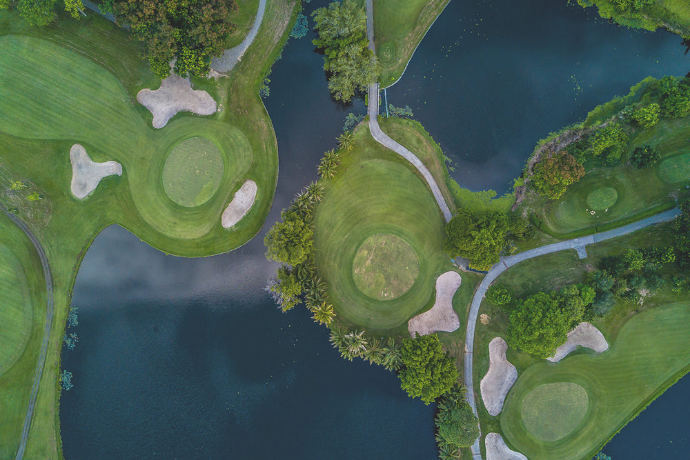 
                  
                    Aerial Golf Course Print I
                  
                