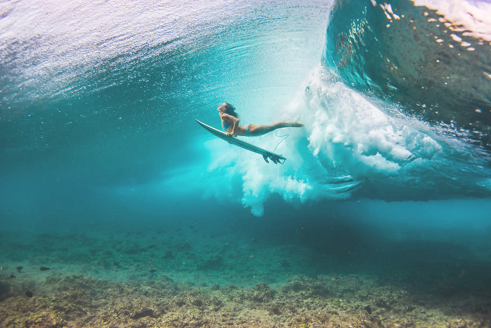 
                  
                    Surfing Print IV
                  
                